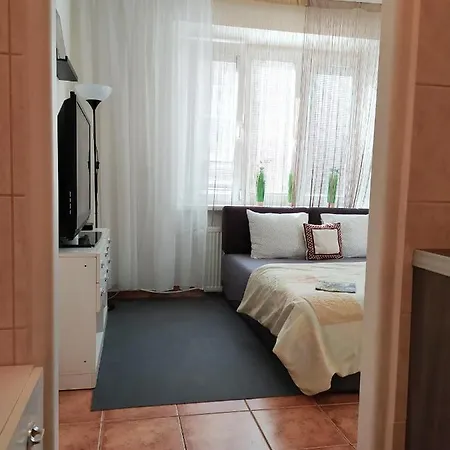 Mini Flat Belehradska Apartment *